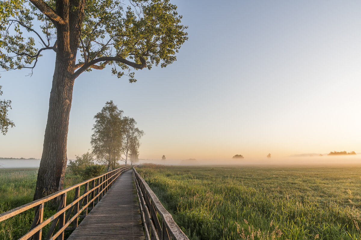 Sonnenaufgang Federsee