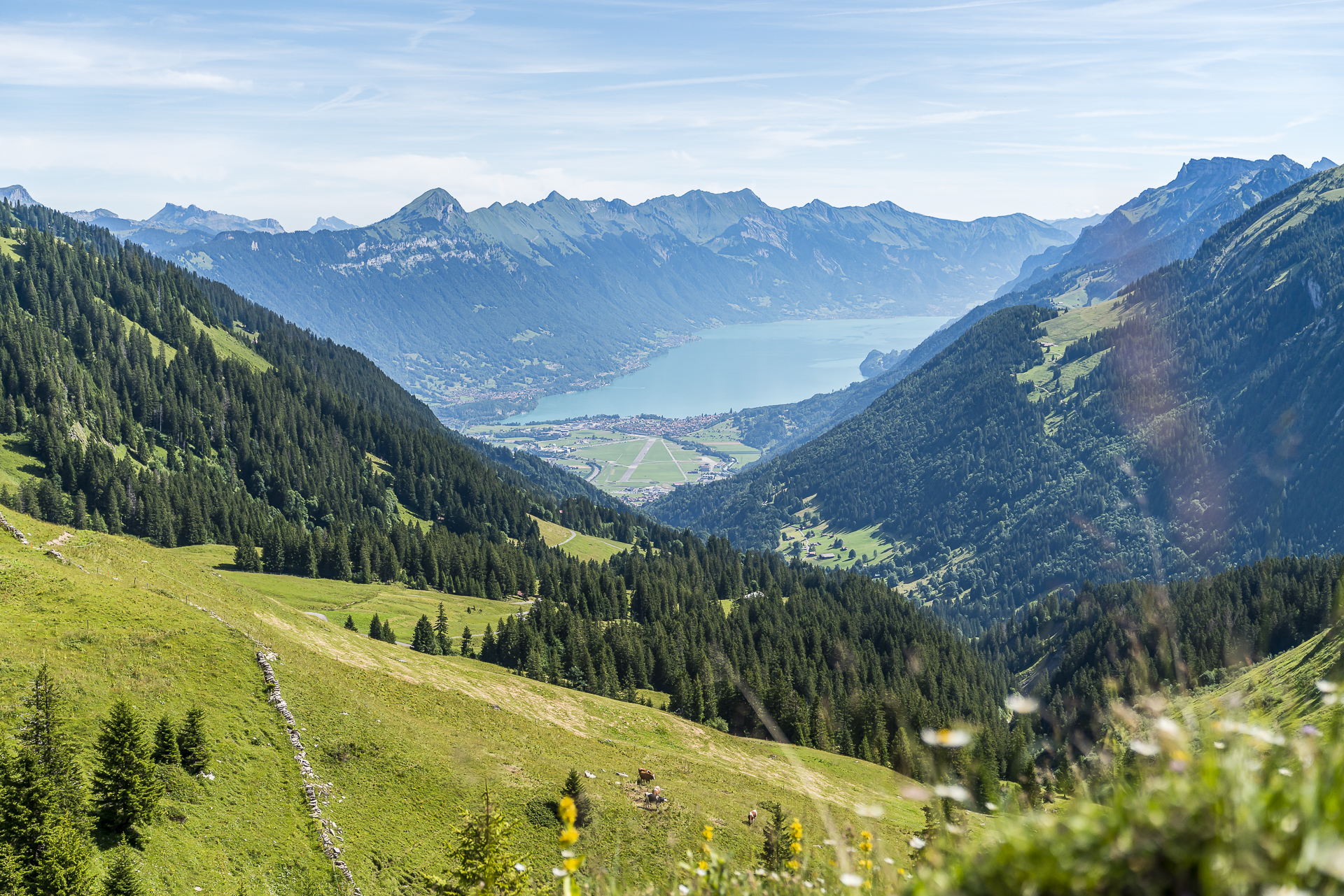 Rengglipass Brienzerseeblick