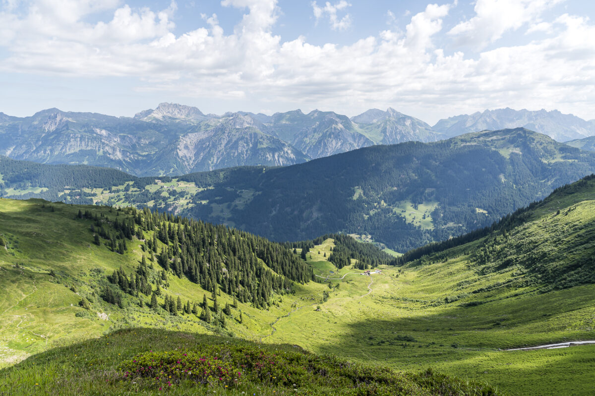 Montafon Alpenmosaik