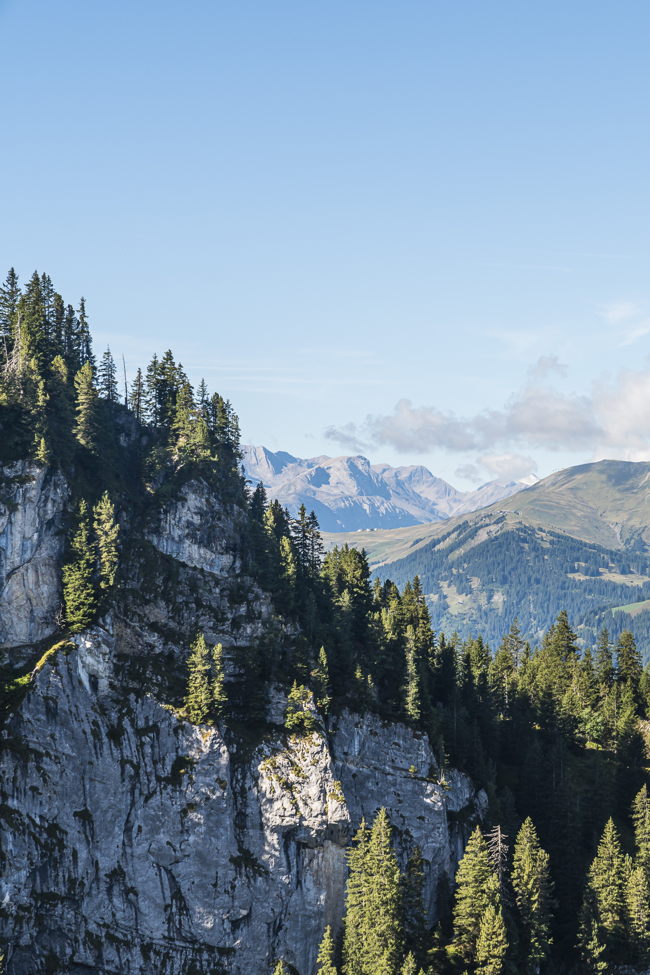 Aussicht Elsigenalp