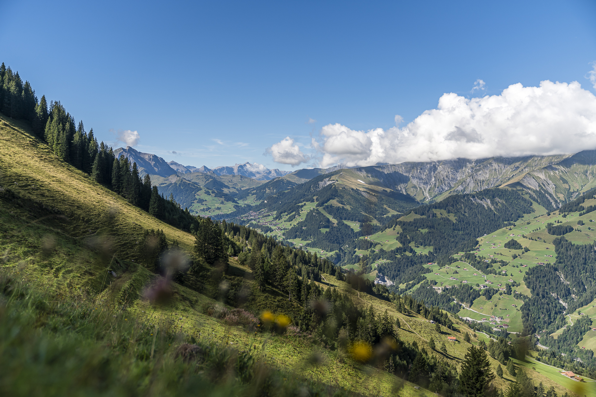 Panoramaweg Elsigenalp