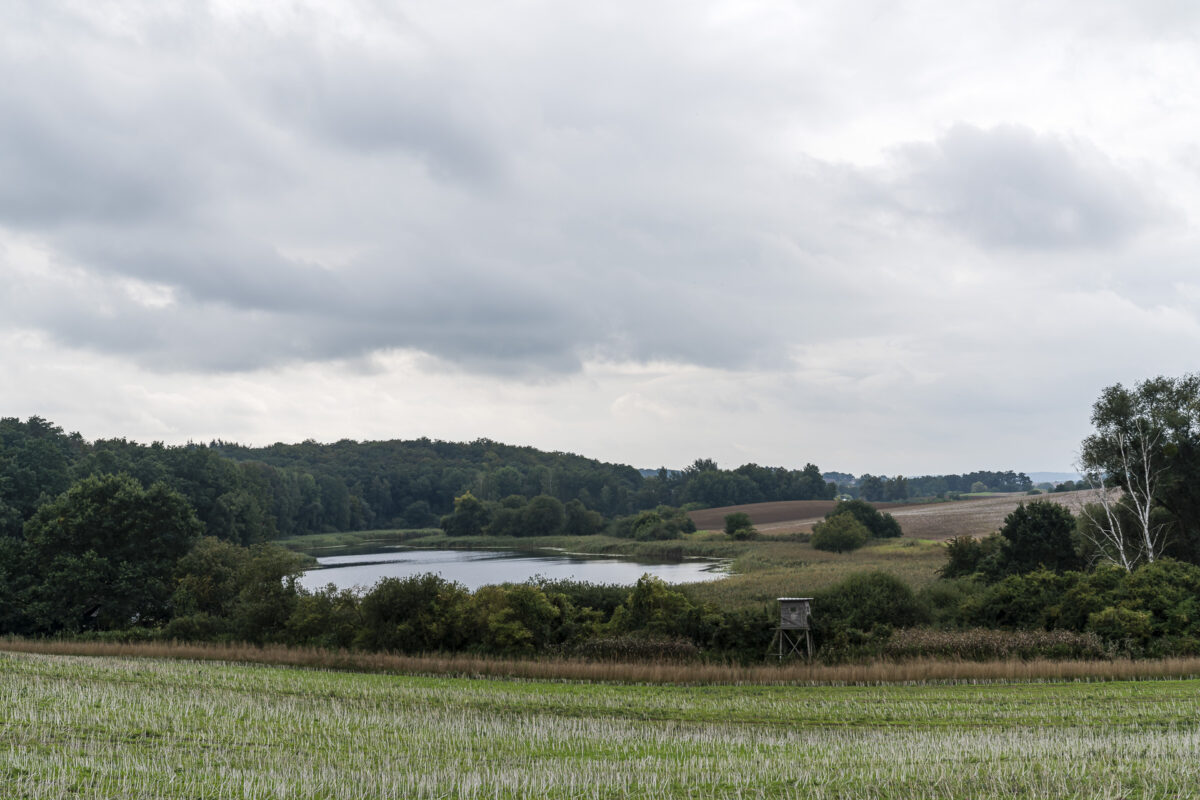 Landschaft bei Warnitz Brandenburg