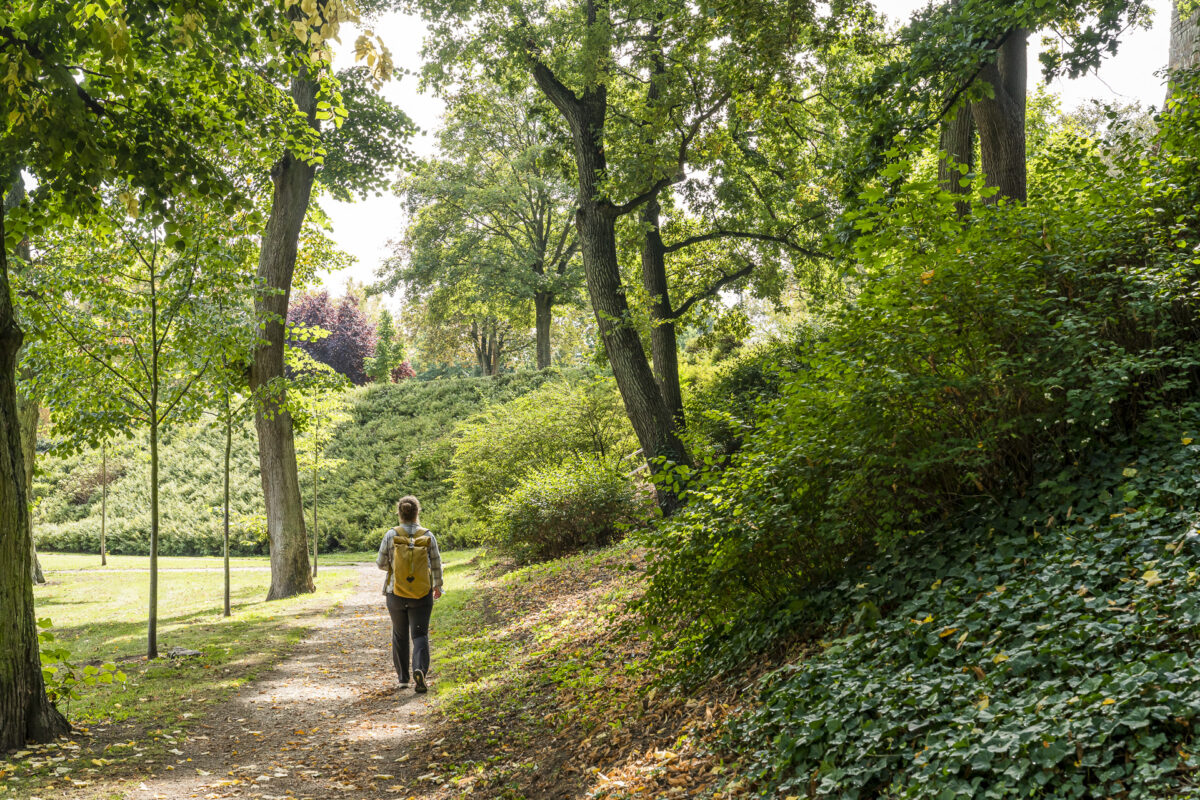 Stadtpark Prenzlau