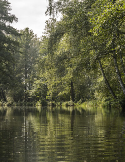 Spreewald Brandenburg