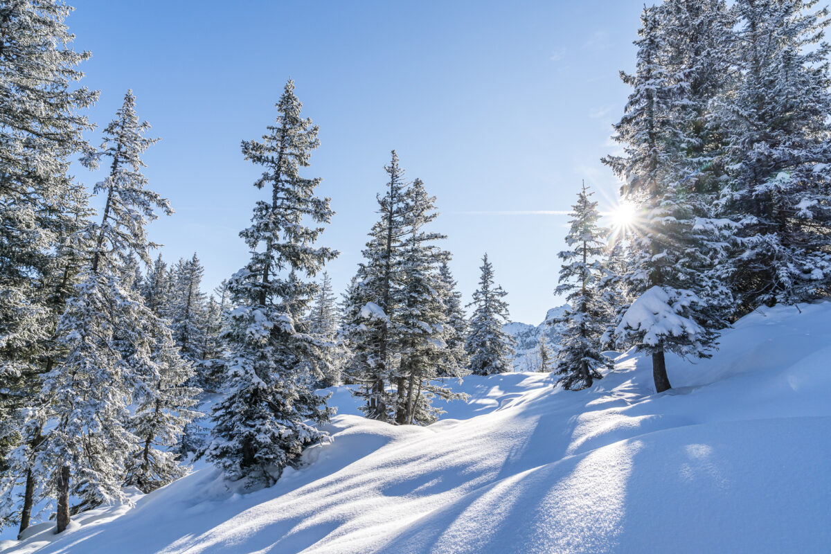 Brüsti Alp Chulme Winter