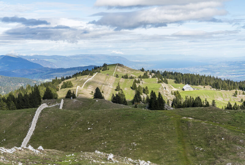 Jura Höhenweg Mont Tendre