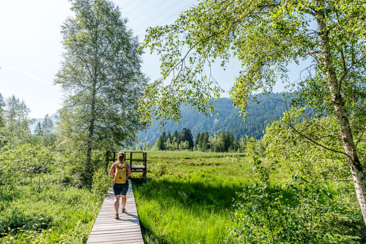 Hochmoor Steinmösli