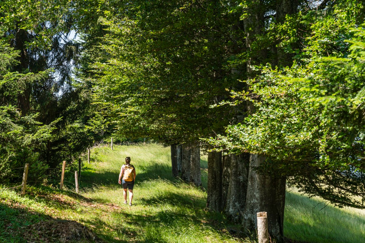 Wandern Naters - Röthenbach