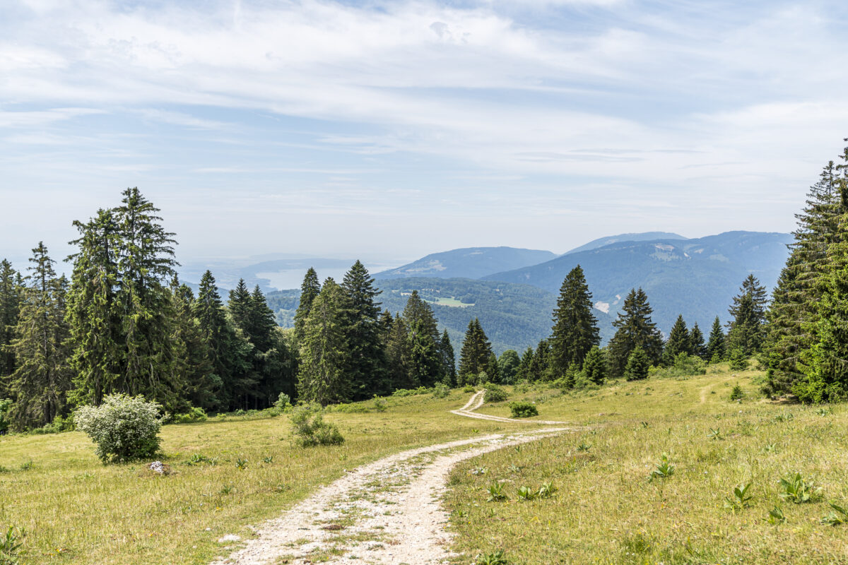 Ascent to the Montoz