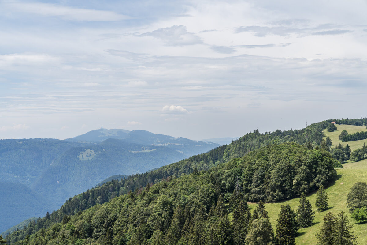 View from Montoz