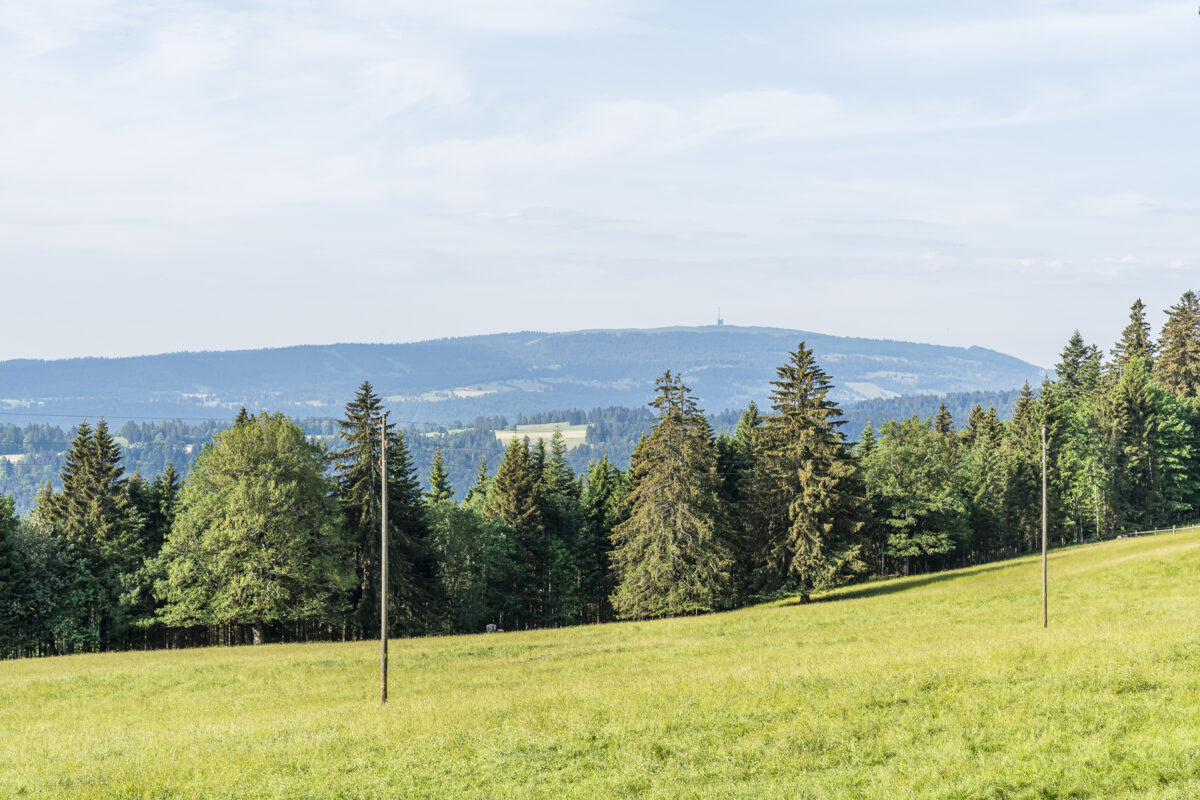 View Via Berna Grand Chasseral