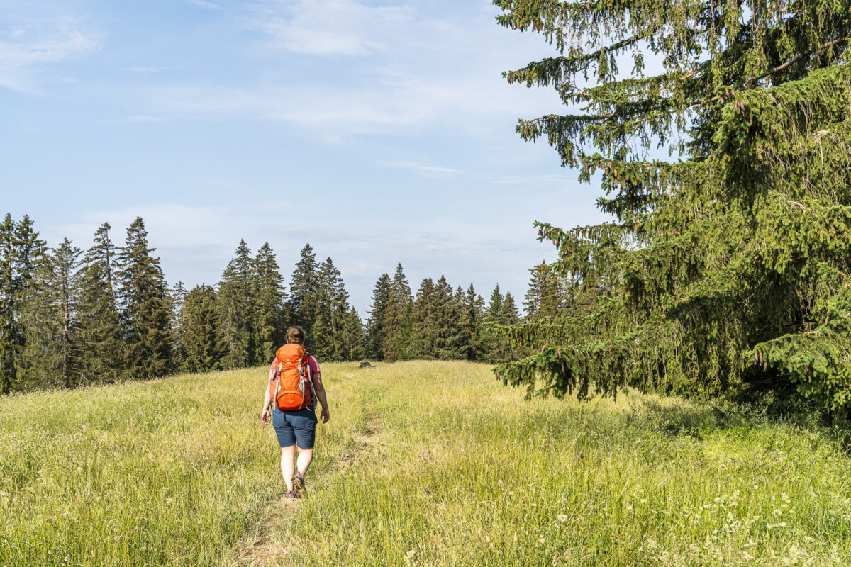 Hike on the Via Berna