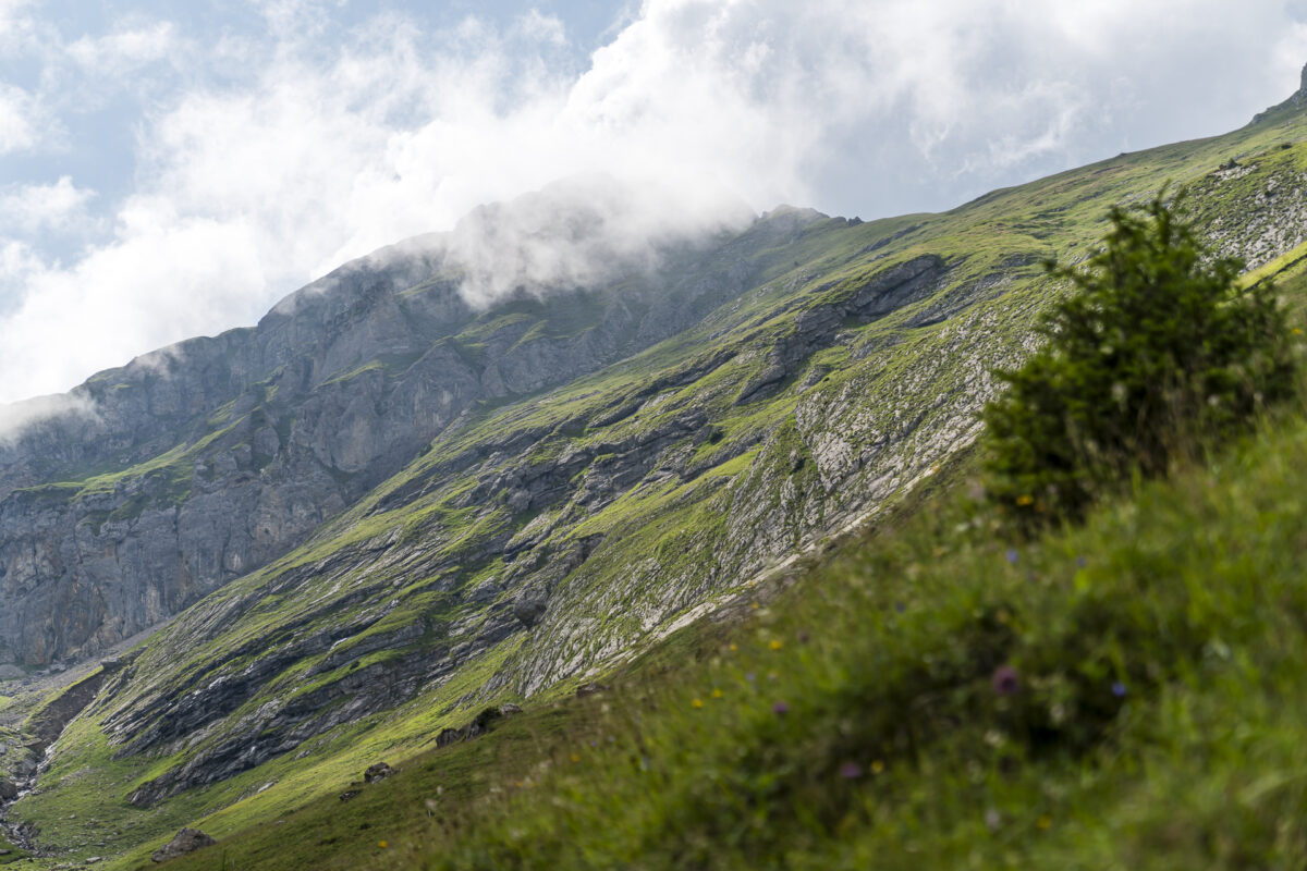 Golitschenalp Landscape