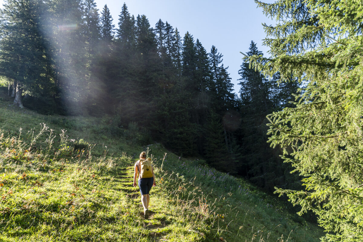 Bergweg Grimmialp