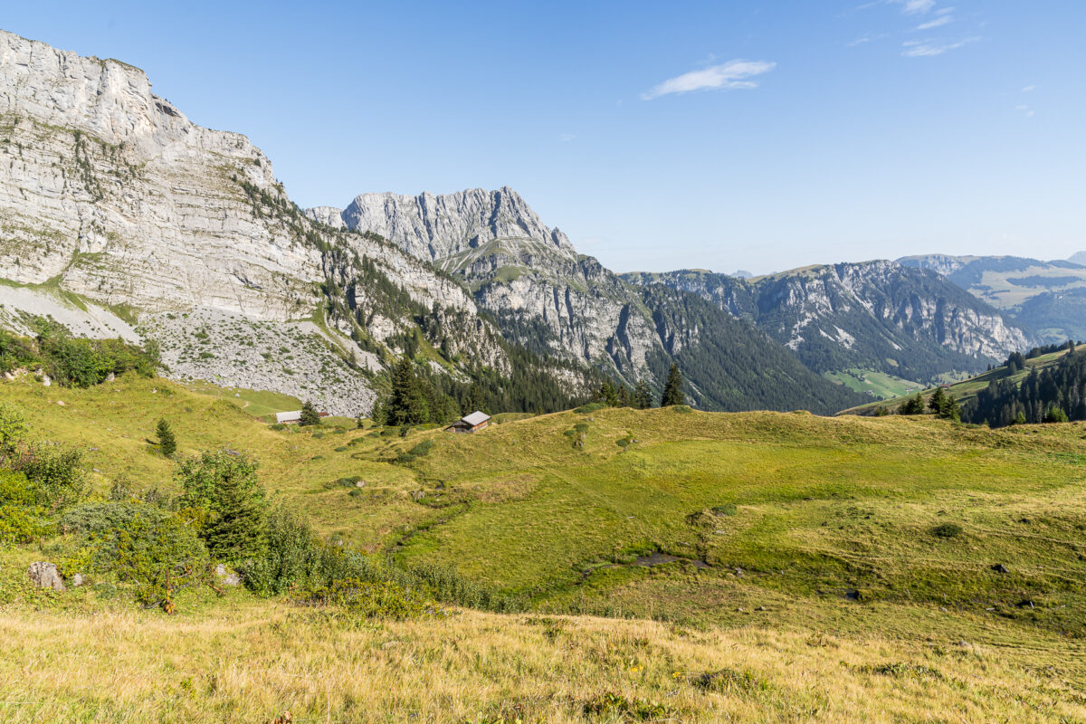 Grimmialp Naturpark Diemtigtal