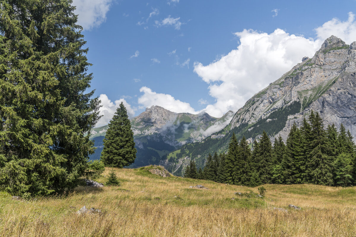 View while hiking in Kandersteg