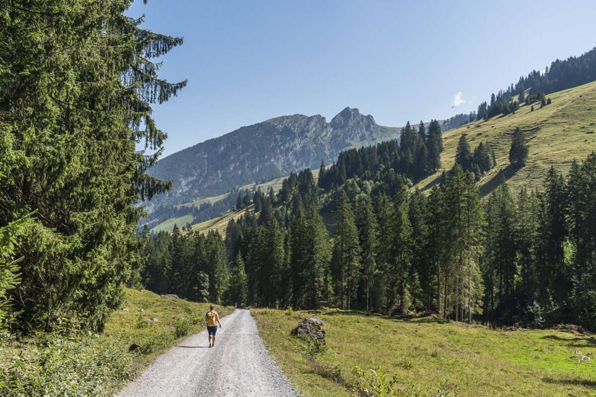 Wanderung Diemtigtal Grimmialp