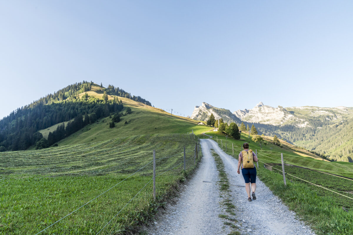 Wanderung Grimmialp