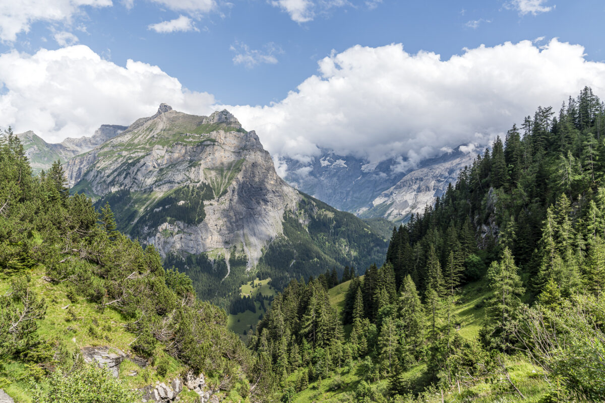 Panorama Kandersteg