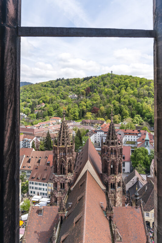 View from Freiburg Cathedral