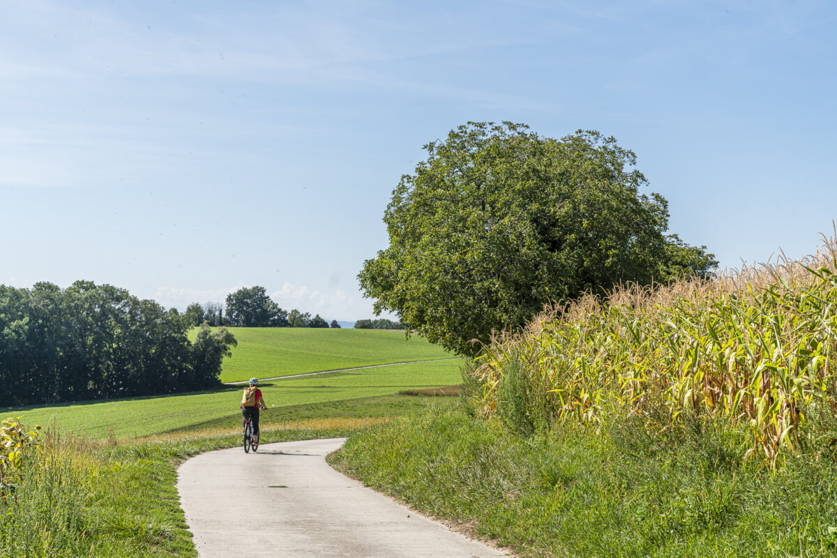 Velotour 3-Seenland