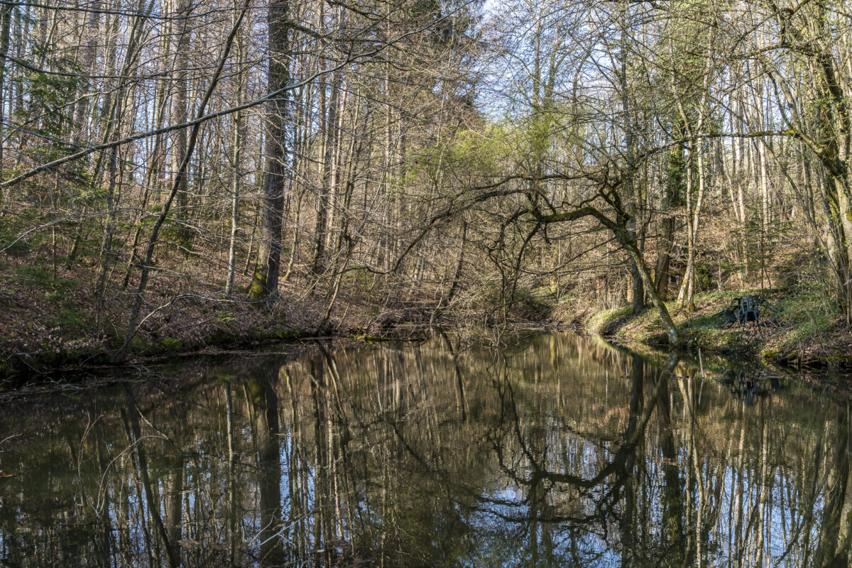 Lucens Pond