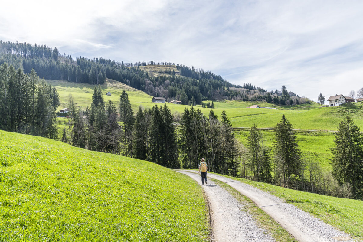 Hiking Trail to Schönengrund