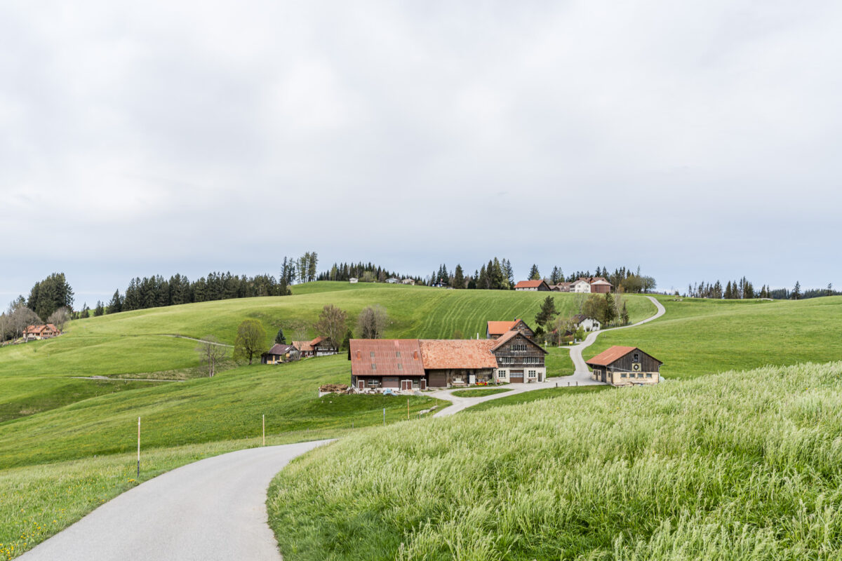 Appenzeller Landscape