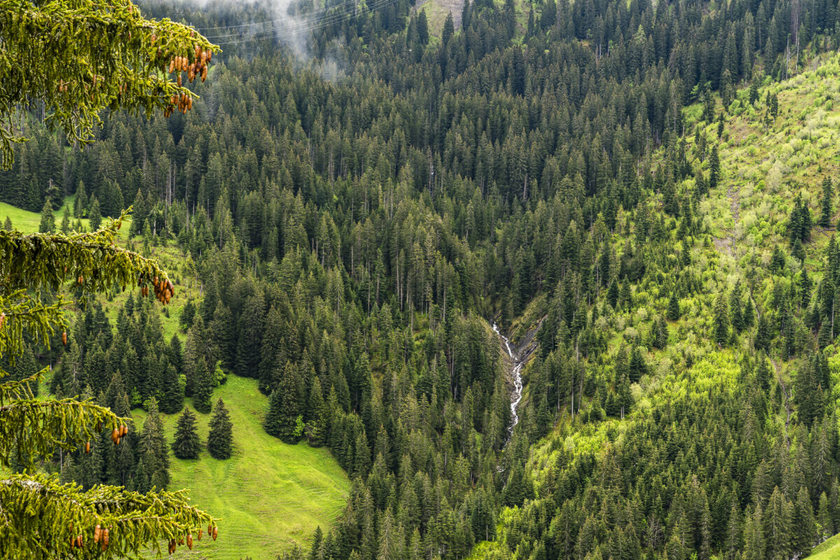 Abländschen valley landscape