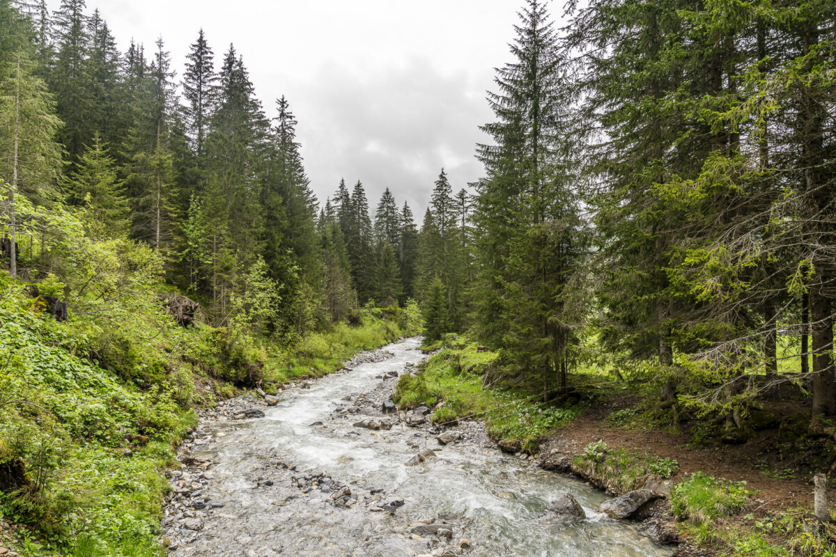 Turbach stream