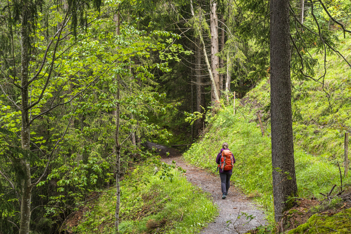 Turbach Valley hike