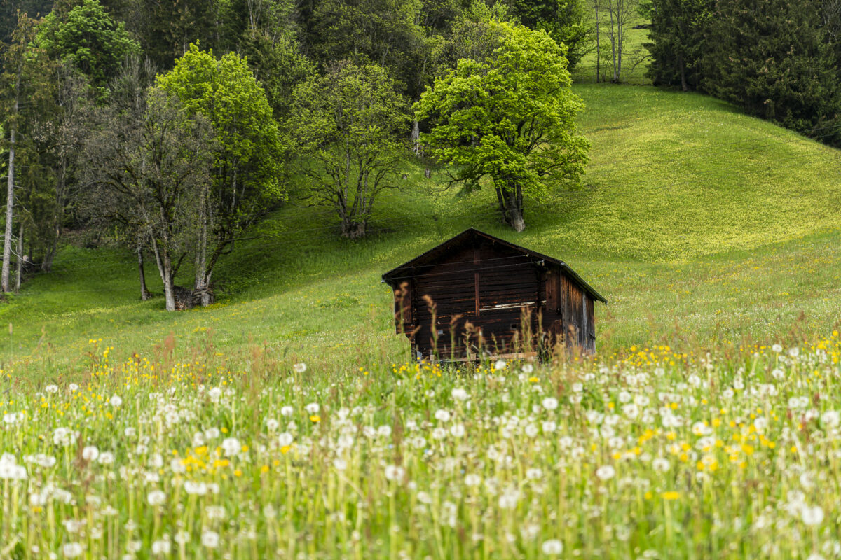 Turbach Valley landscape