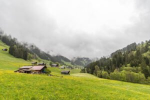 Turbachtal bei Gstaad