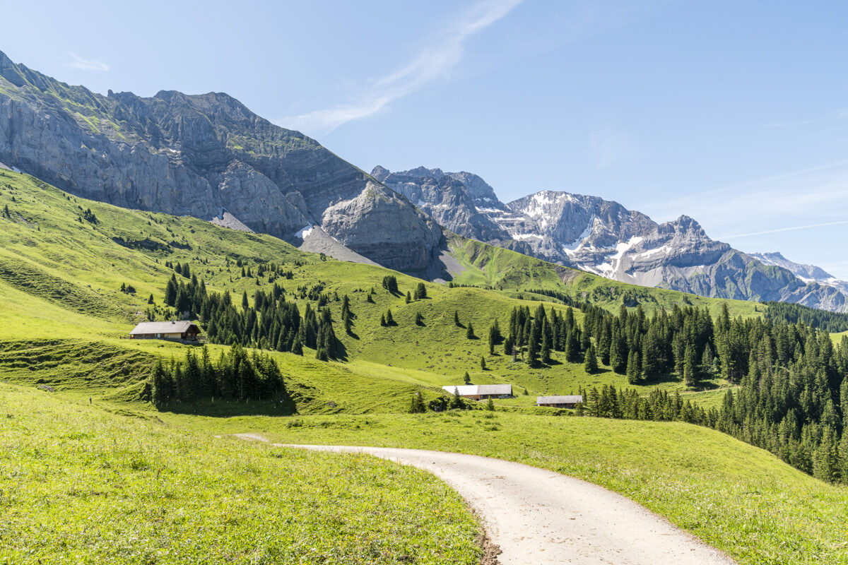 Alp Metsch Hiking Trail