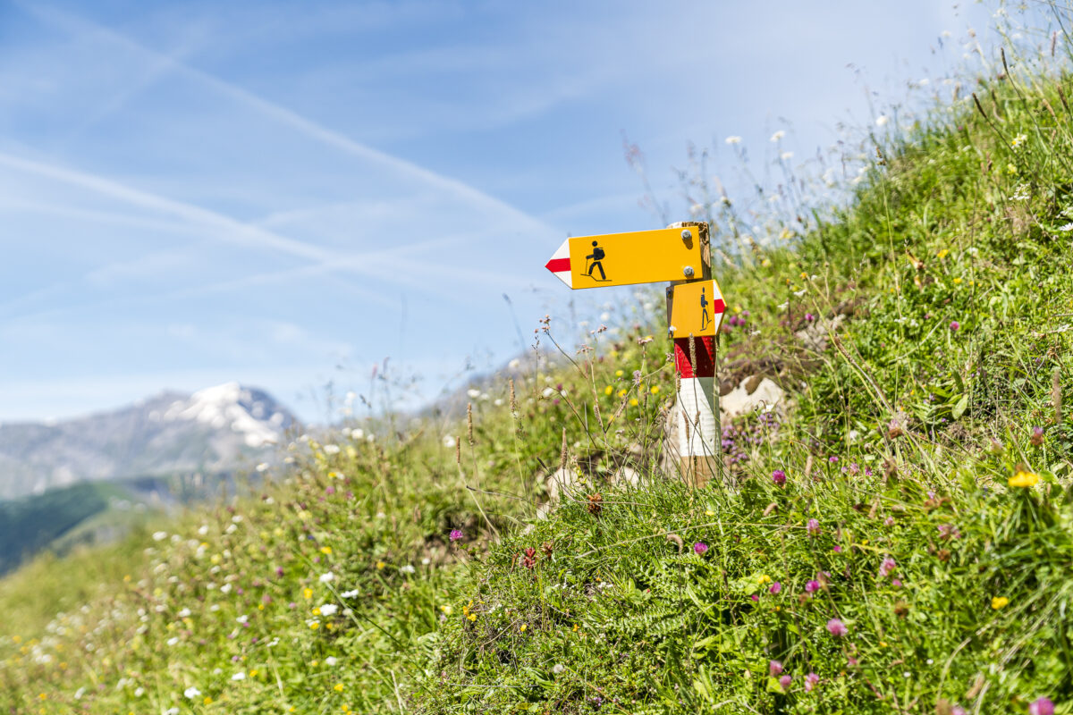 Signpost Mountain Hiking Trail