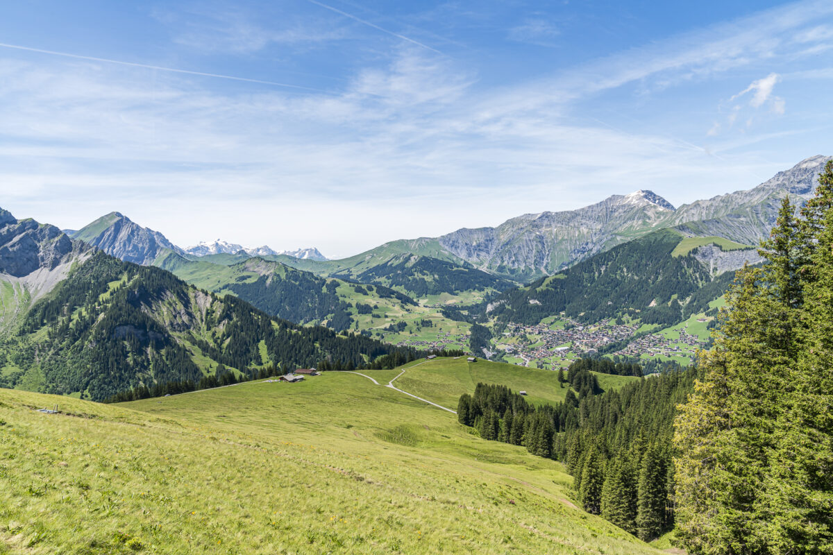 Bonderalp Panorama