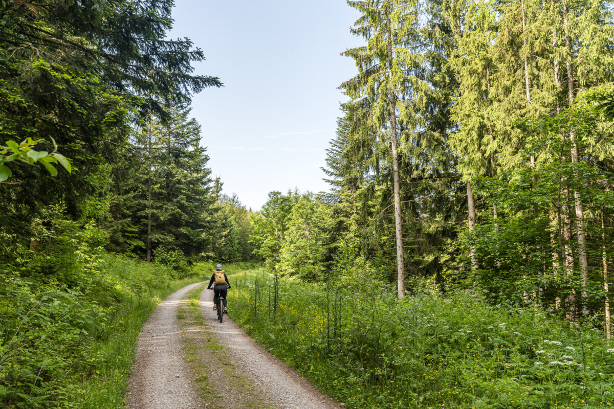 E-Bike Tour in the Black Forest