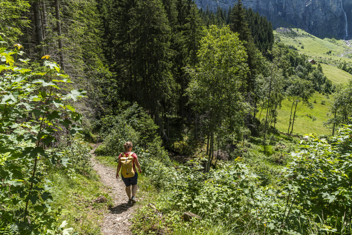 Via Alpina to Adelboden