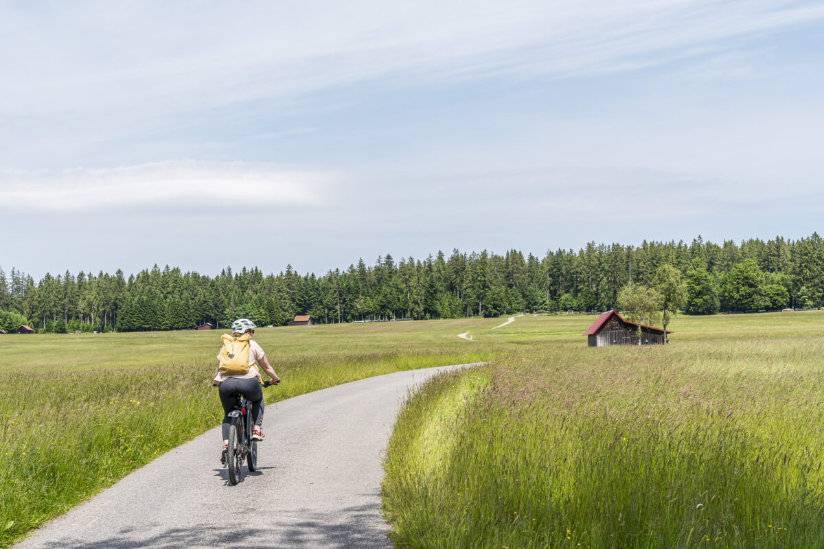 Cycling Tour in the Black Forest