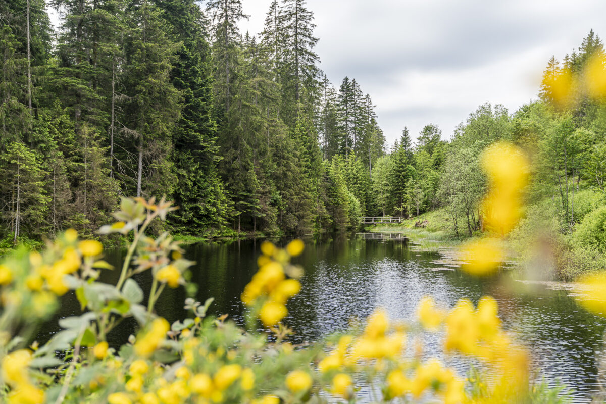 Kaltenbach Lake