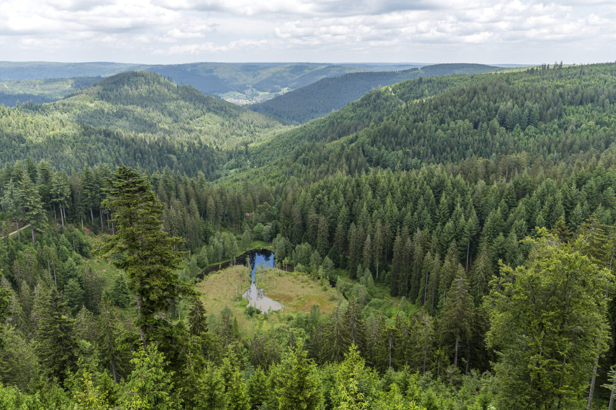 Ellbach Lake View