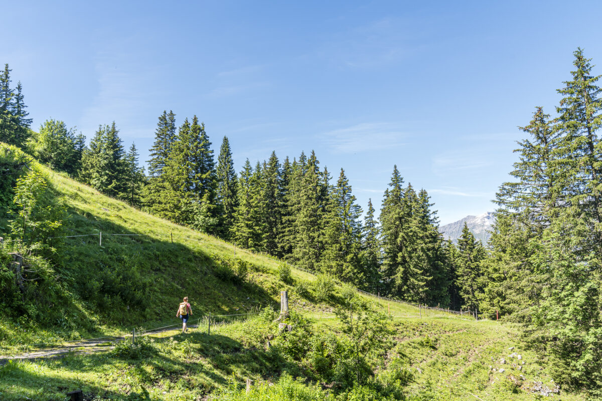 Hiking on the High-Altitude Trail Elsigenalp