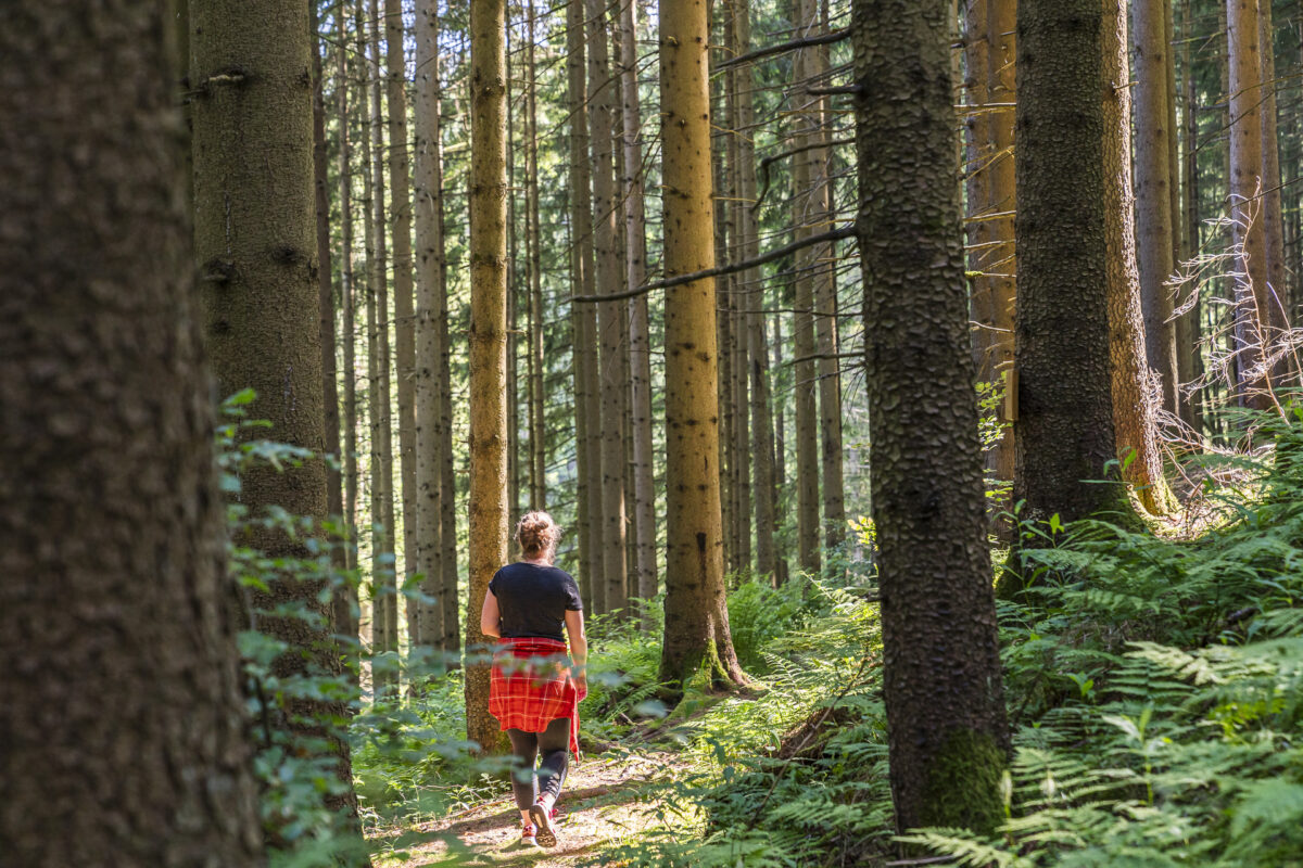 Taubentalweg Black Forest