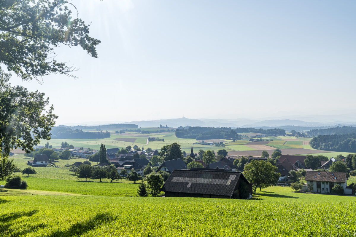 Panorama hike Frienisberg