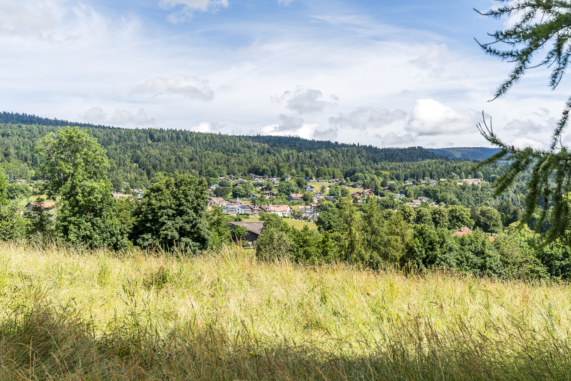 Waadtländer Jura