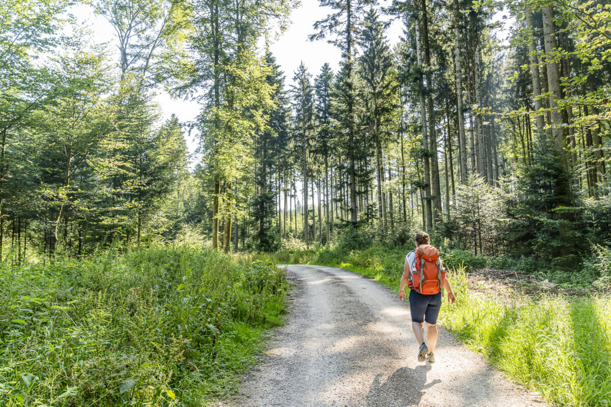 Frienisberg hike