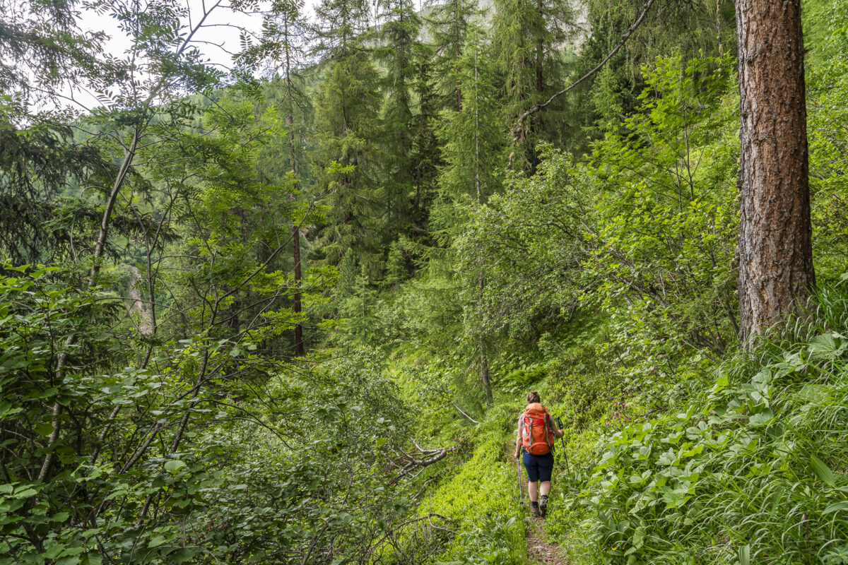 Hiking trail Parc Ela Trek