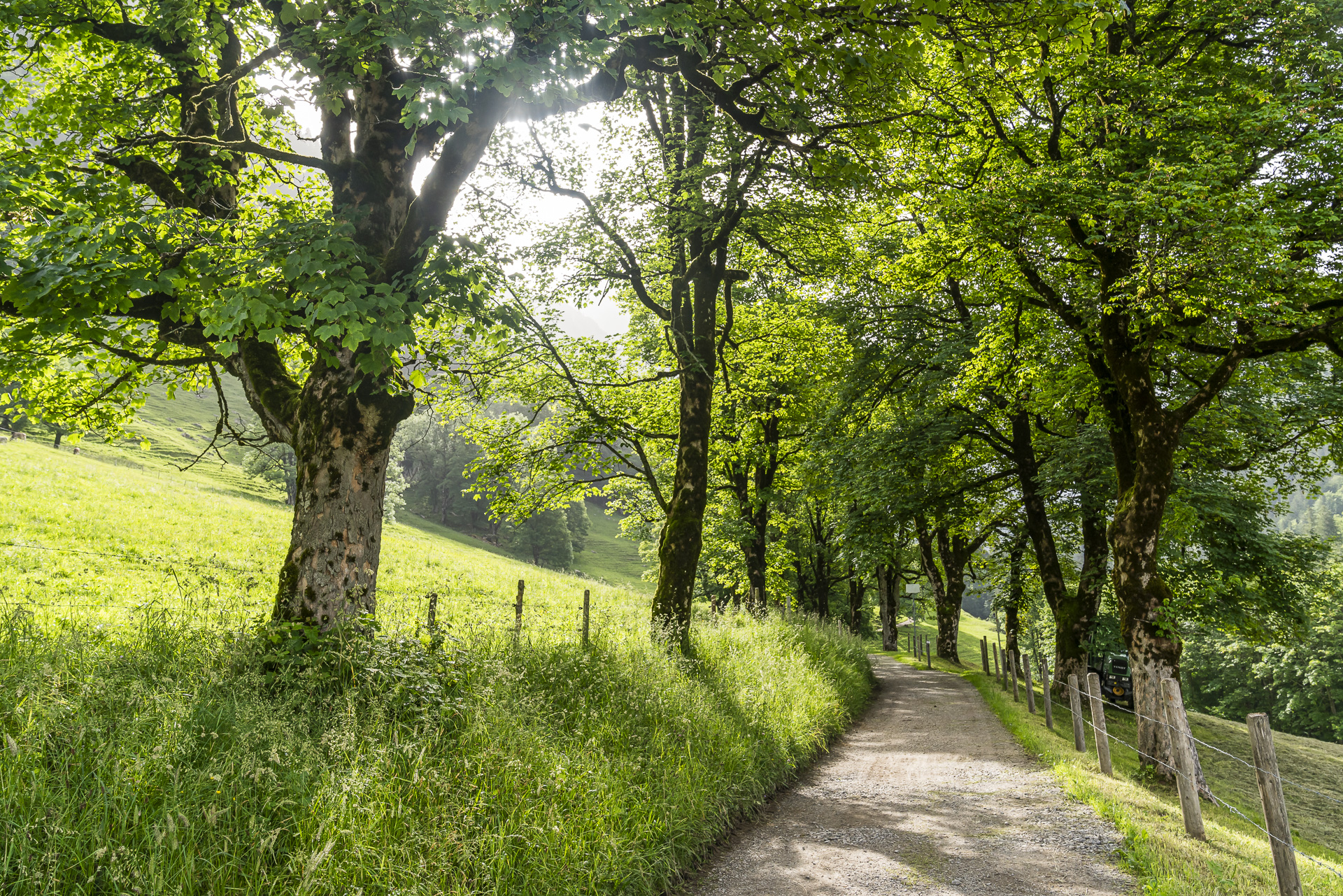 Gerstruben Avenue