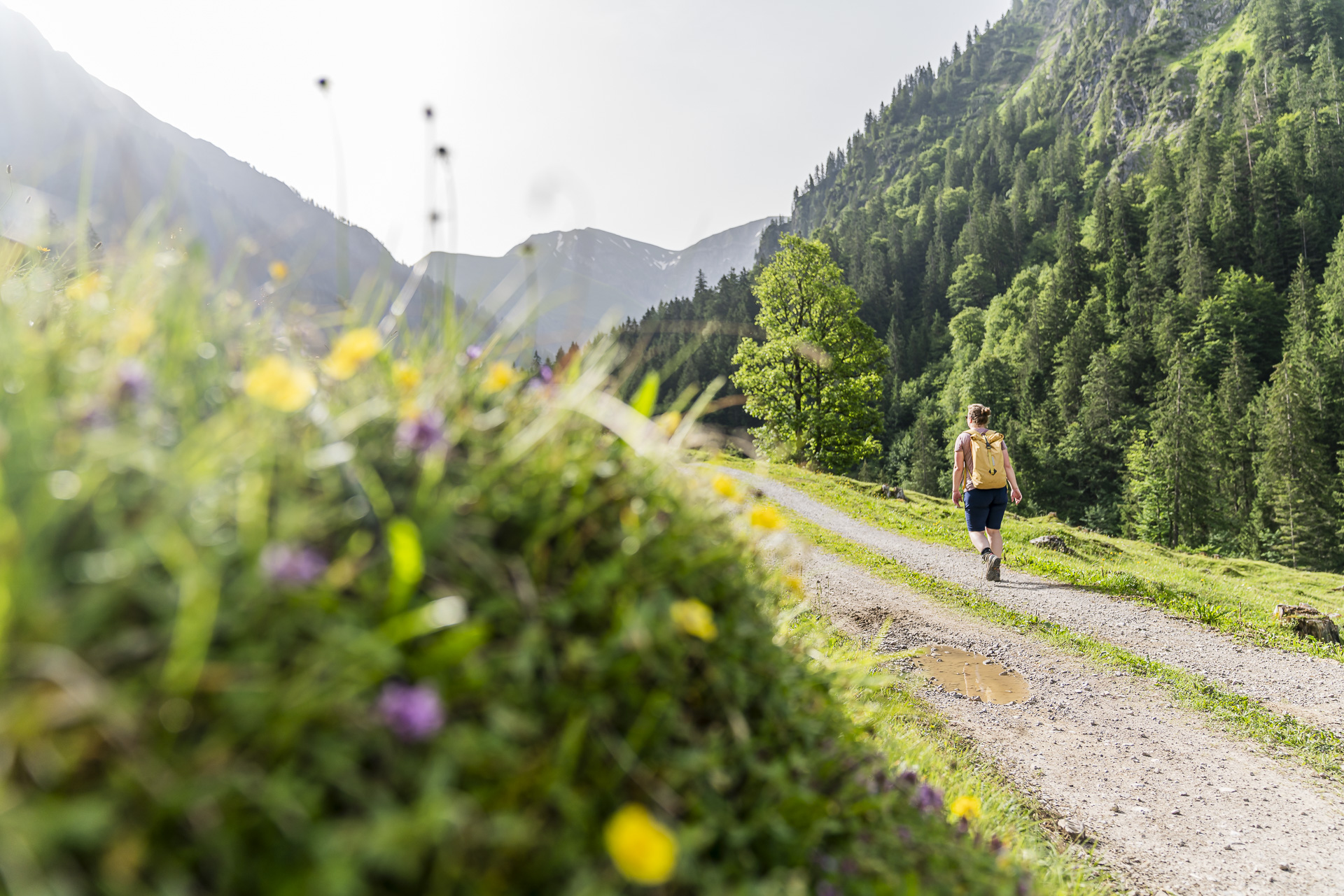 Hike Gerstruben Alps