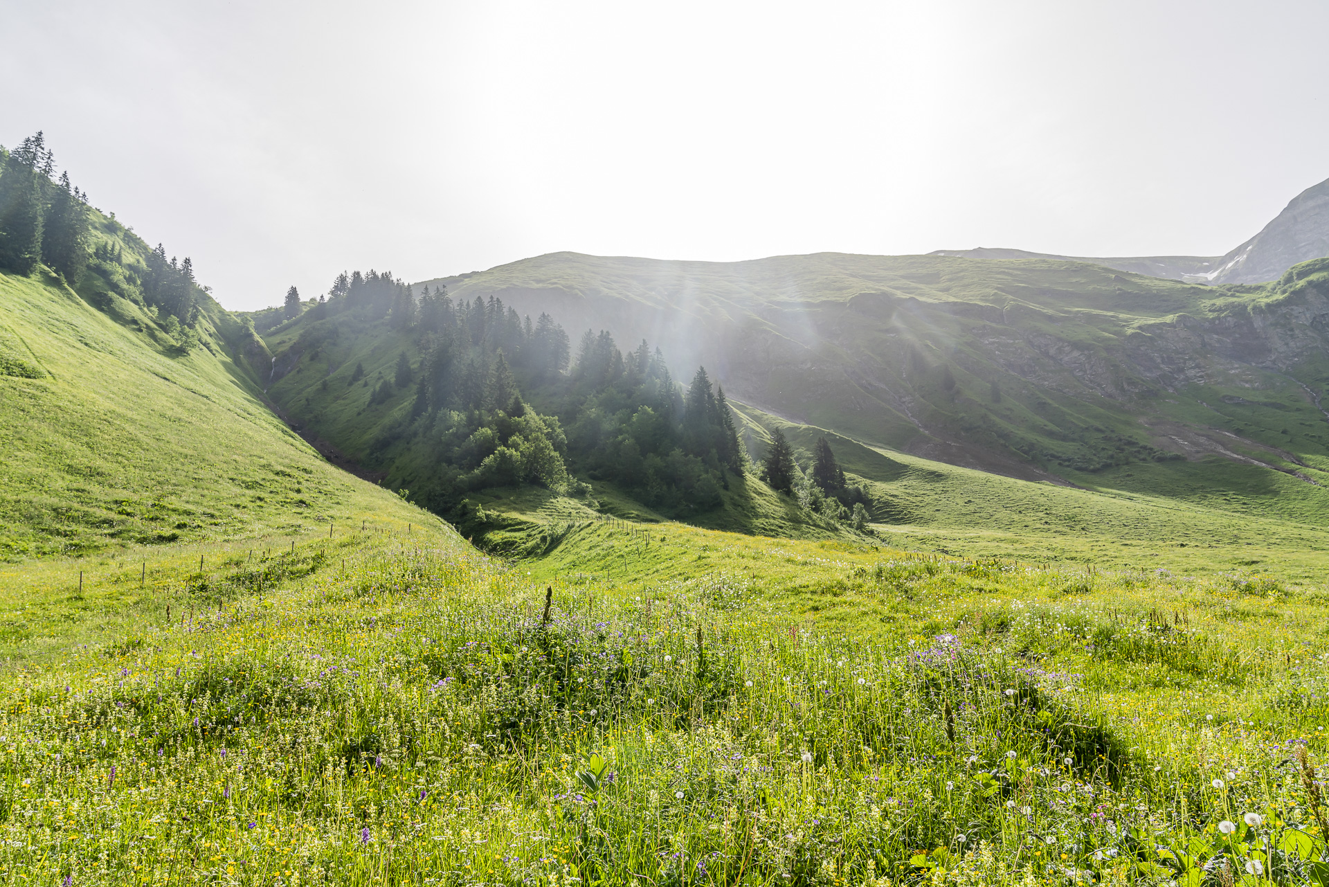 Gerstruben Alps Oberstdorf